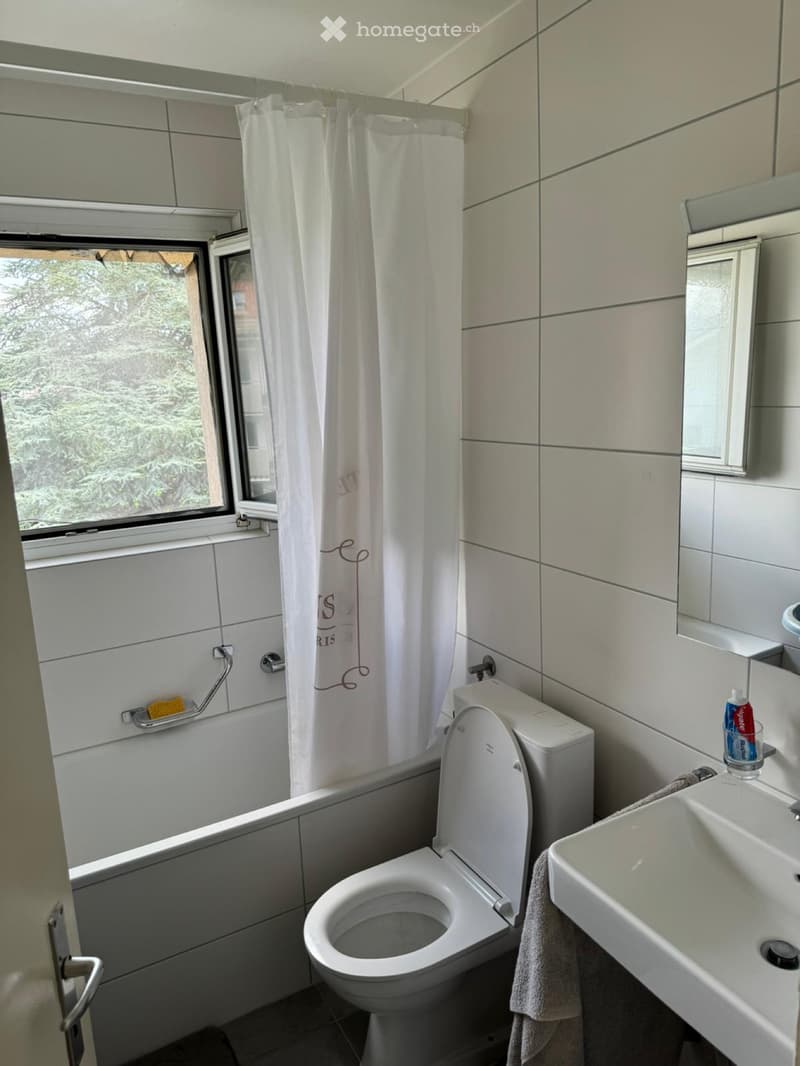 À louer appartement 3p (5)