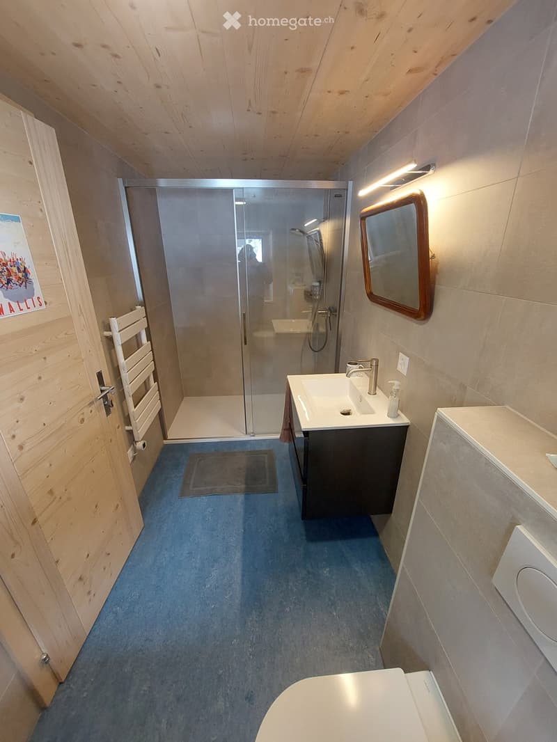 Magnifique appart avec jardin dans chalet totalement rénové (4)