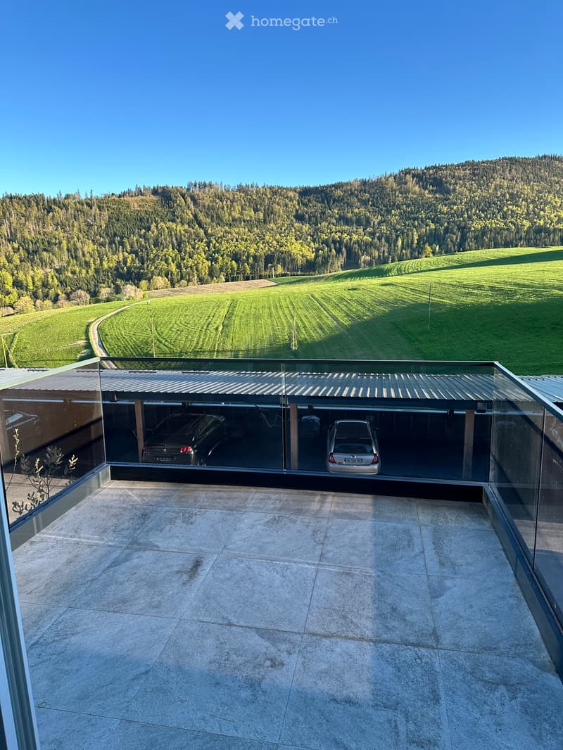 Très bel appartement 2,5 avec terrasse (5)