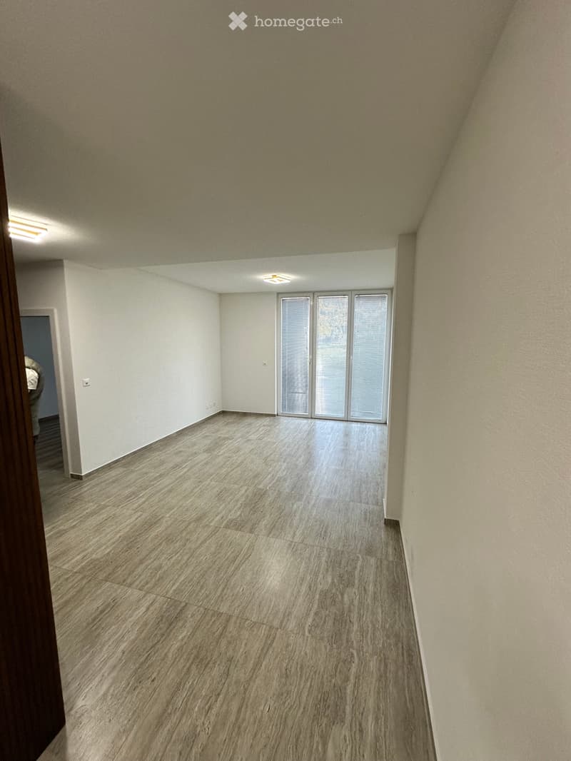 Très bel appartement 2,5 avec terrasse (2)