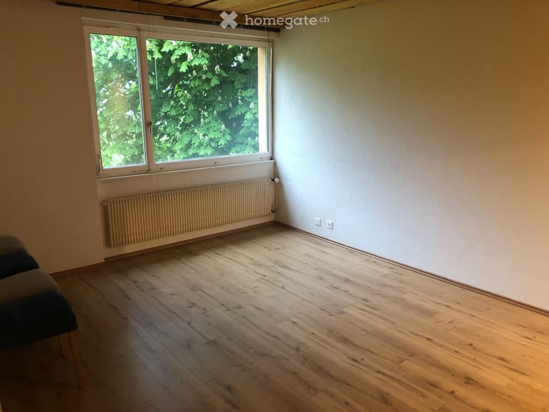 Appartement 2.5 pièces à louer (2)