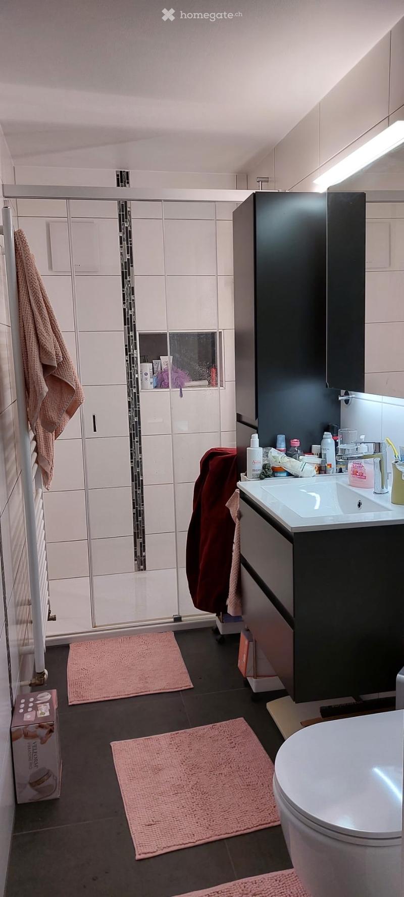 Appartement 4 pièces (5)