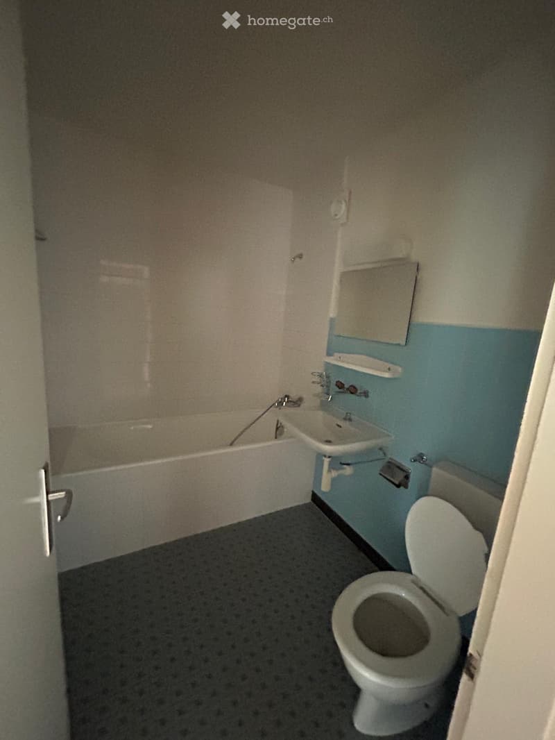 Appartement 2 pièces à louer de suite (3)