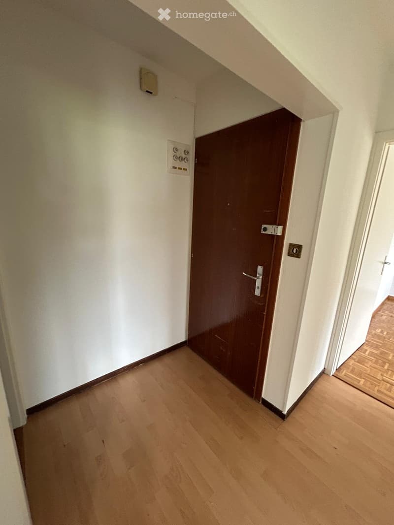 Appartement 2 pièces à louer de suite (4)