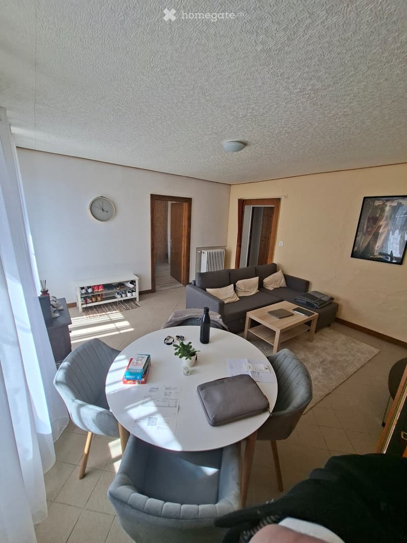 Appartement 2,5 pièces, rue du progrès 73 (3)
