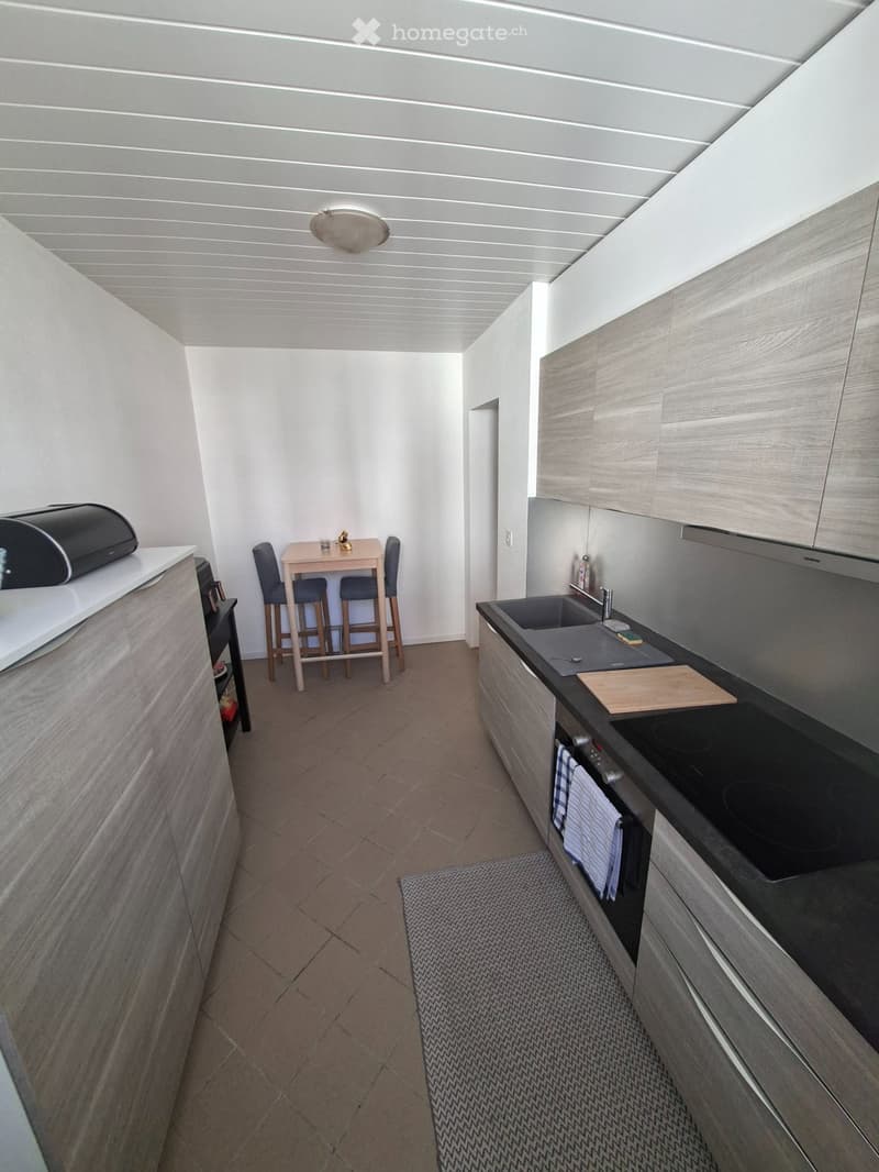 Appartement 2,5 pièces, rue du progrès 73 (2)