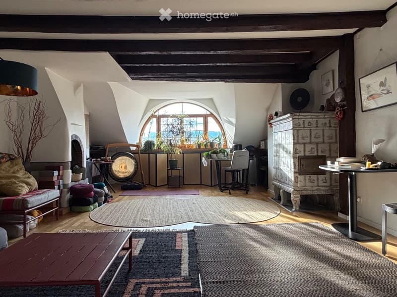 Belle chambre (colocation) en vieille ville Genève (2)