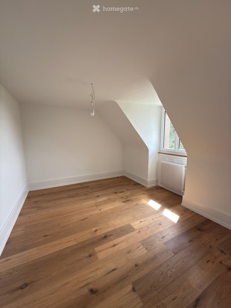 Appartement mansardé dans le quartier des Tilleuls (3)