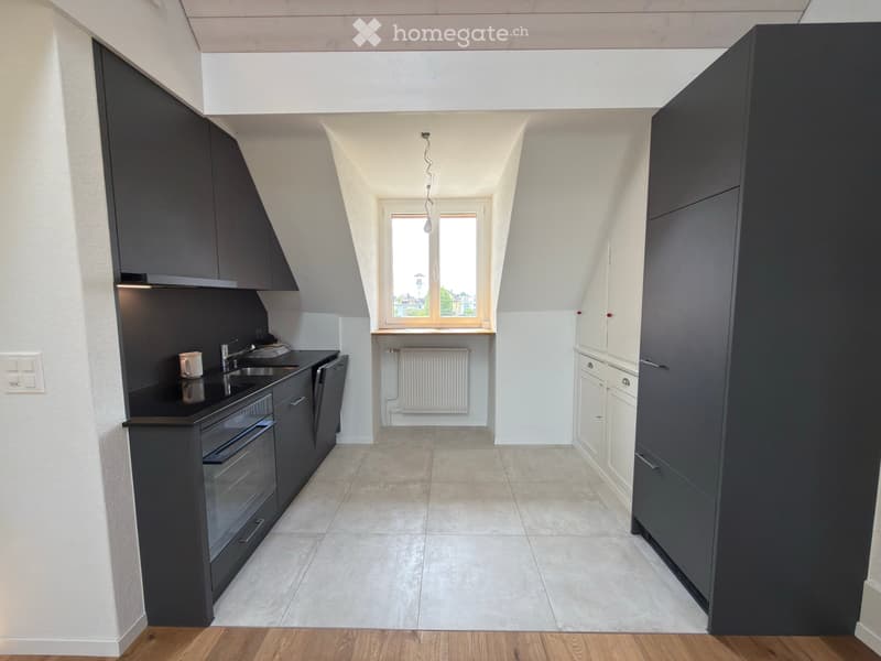 Appartement mansardé dans le quartier des Tilleuls (5)