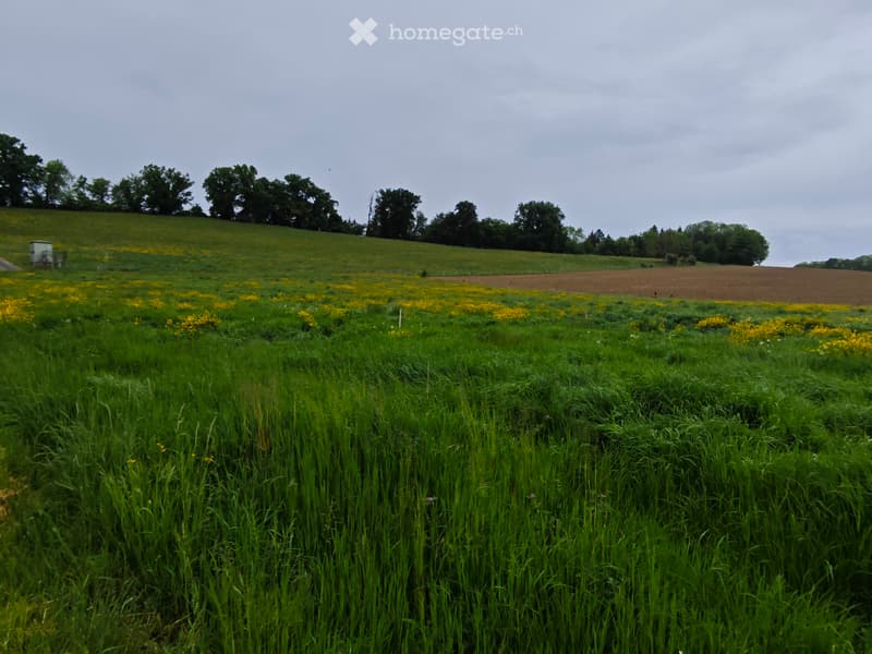Colocation dans une grande ferme (5)
