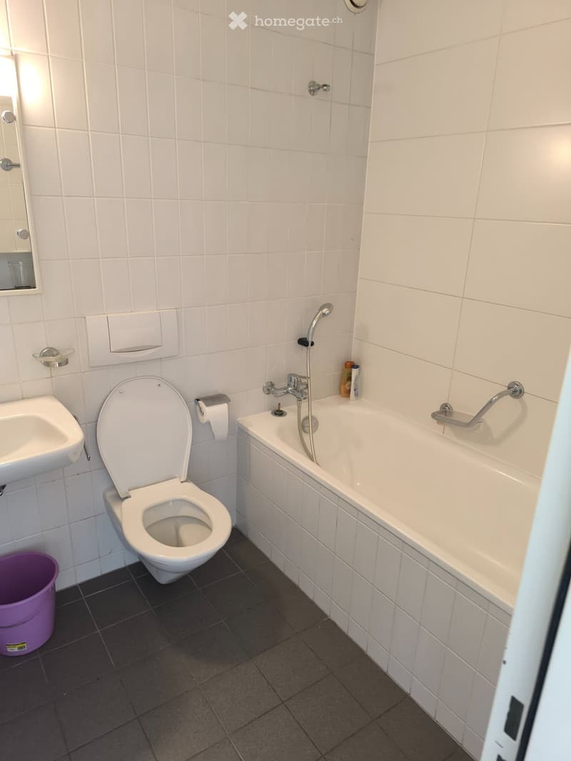 Appartement Prilly (4)