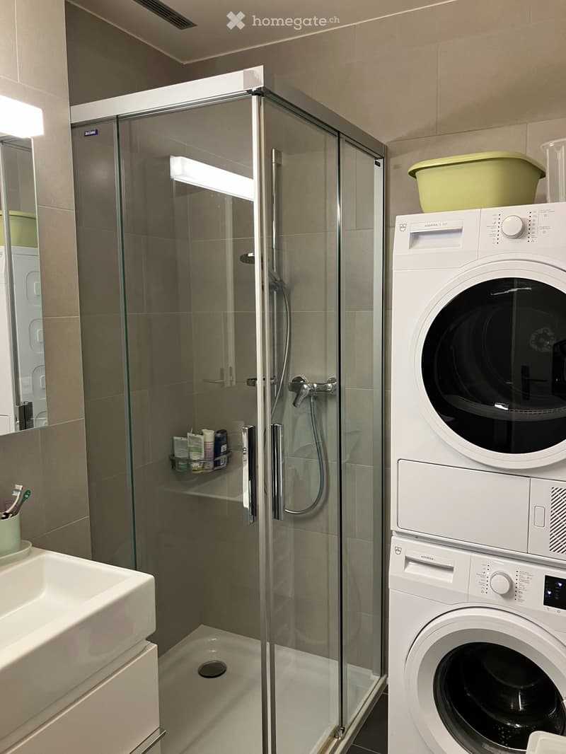 Appartement de 3,5 pces (3)