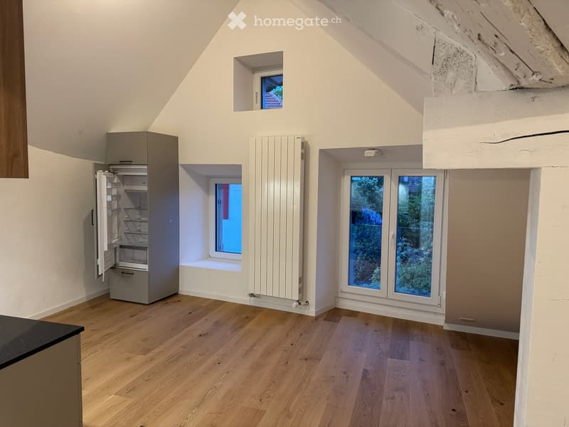 Loft à louer de suite environ 60m2 (2)