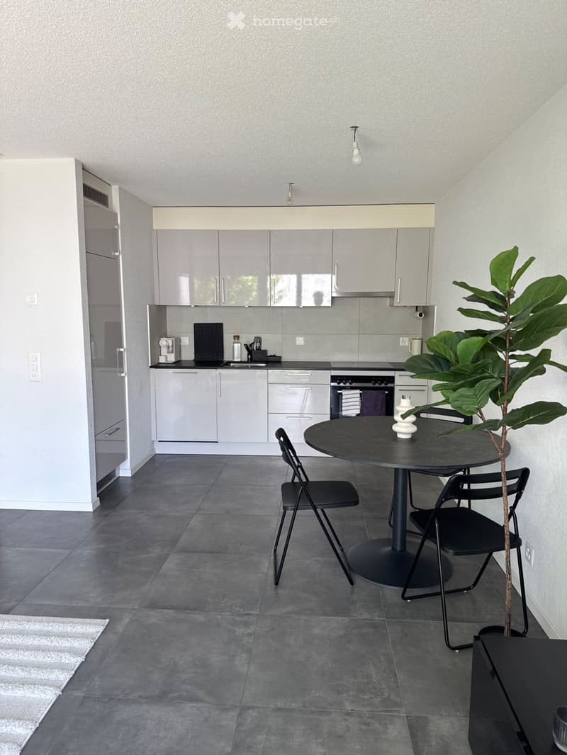 Bail à reprendre appartement 2,5 pièces (2)