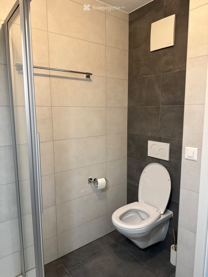 Bail à reprendre appartement 2,5 pièces (4)