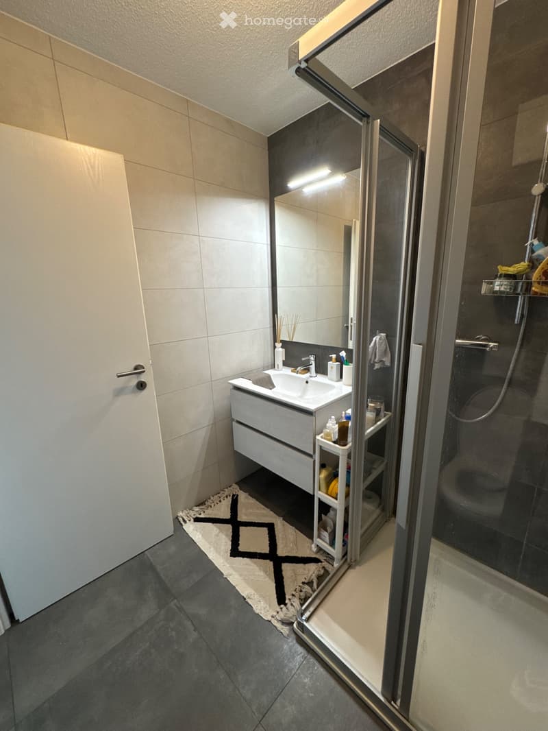 Bail à reprendre appartement 2,5 pièces (5)