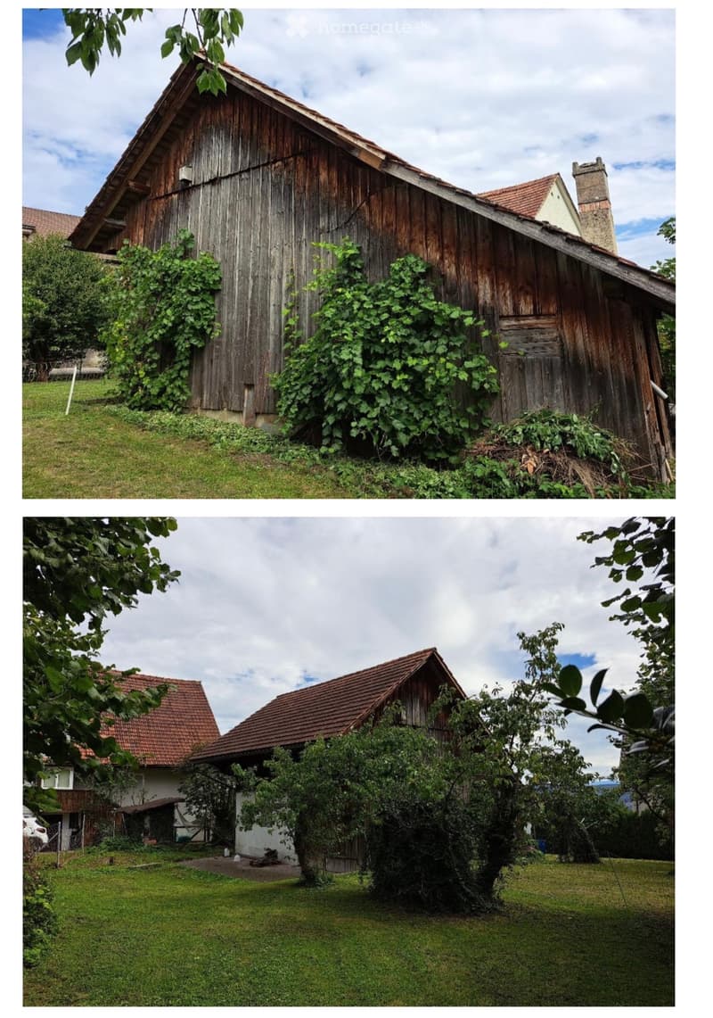 Hausteil mit Bauland und Schopf und Landwirtschaftsland (3)