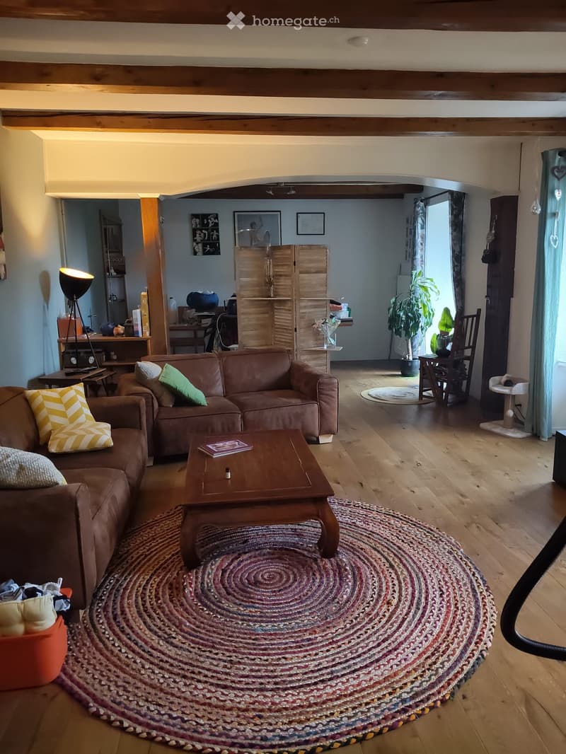 Grand appartement en duplex avec terrasse et jardin (3)