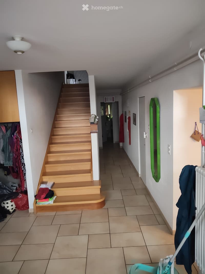 Grand appartement en duplex avec terrasse et jardin (4)