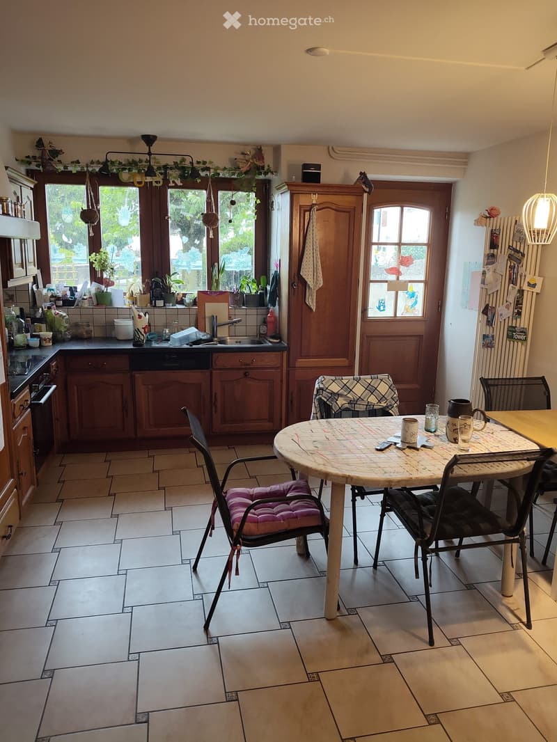 Grand appartement en duplex avec terrasse et jardin (5)