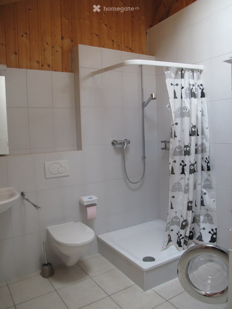 A louer dans chalet, appartement meublé 2 pièces (4)