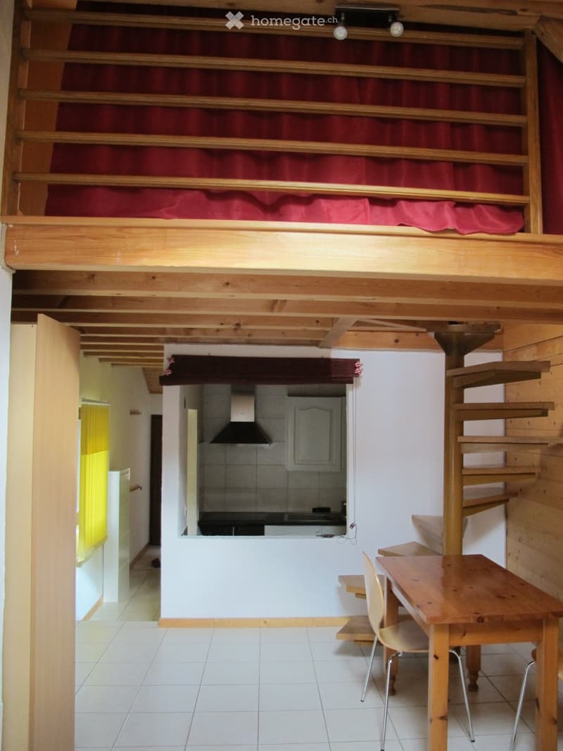 A louer dans chalet, appartement meublé 2 pièces (2)
