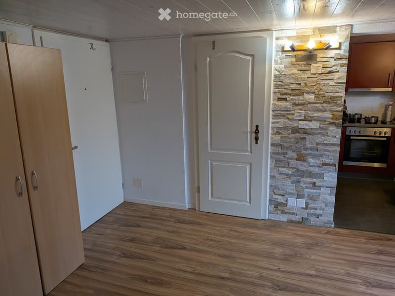 Studio à louer à Leysin (4)