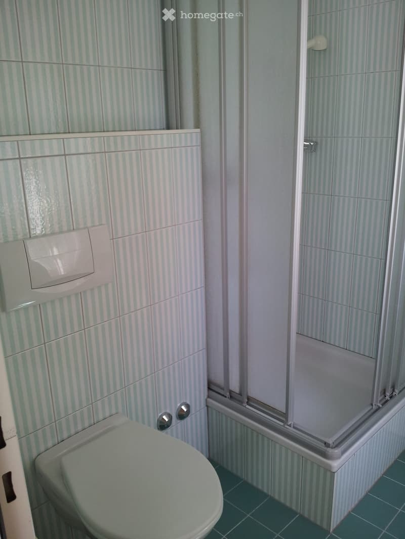 Studio à louer saison Loech les bains (2)