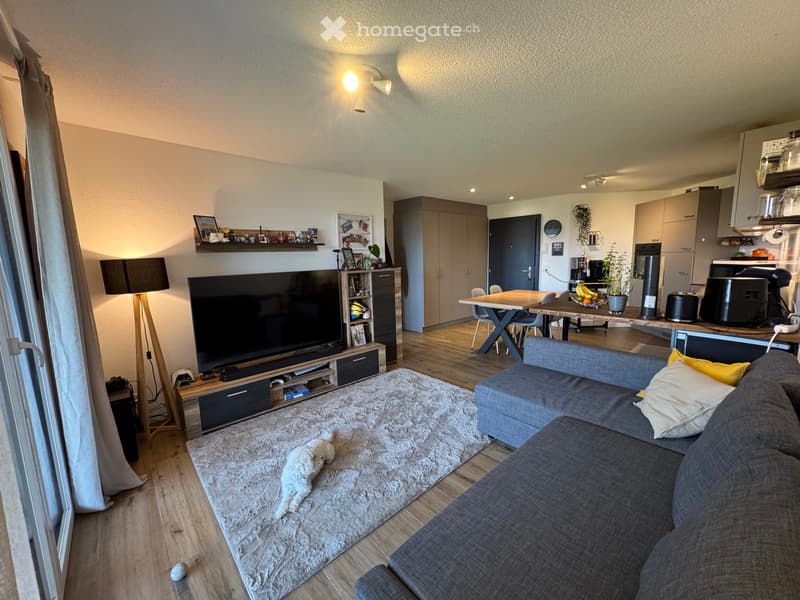 Appartement 2.5pcs au 2éme étage (5)