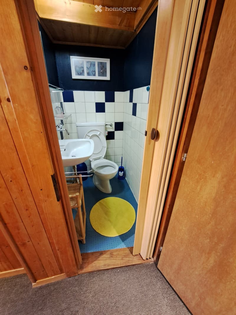 Location petit 2 pièces dans un chalet au centre de Morgins (4)