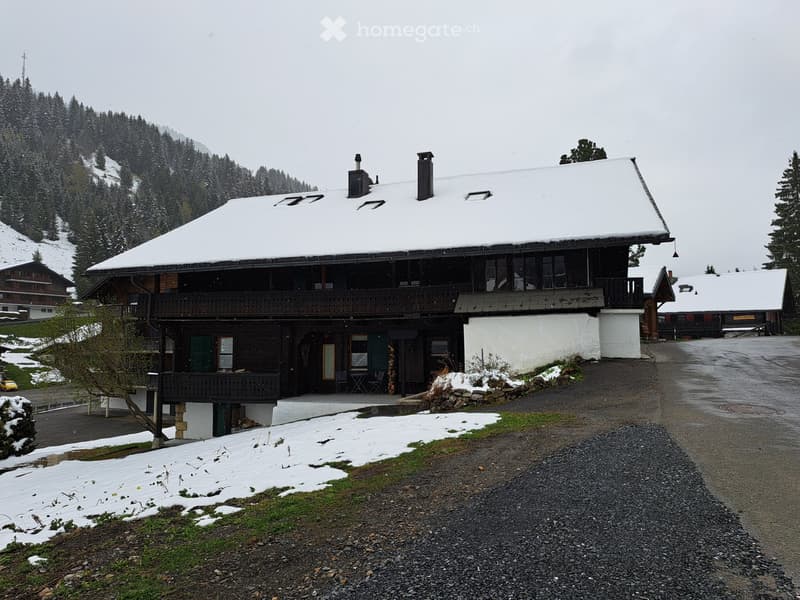 Location petit 2 pièces dans un chalet au centre de Morgins (3)