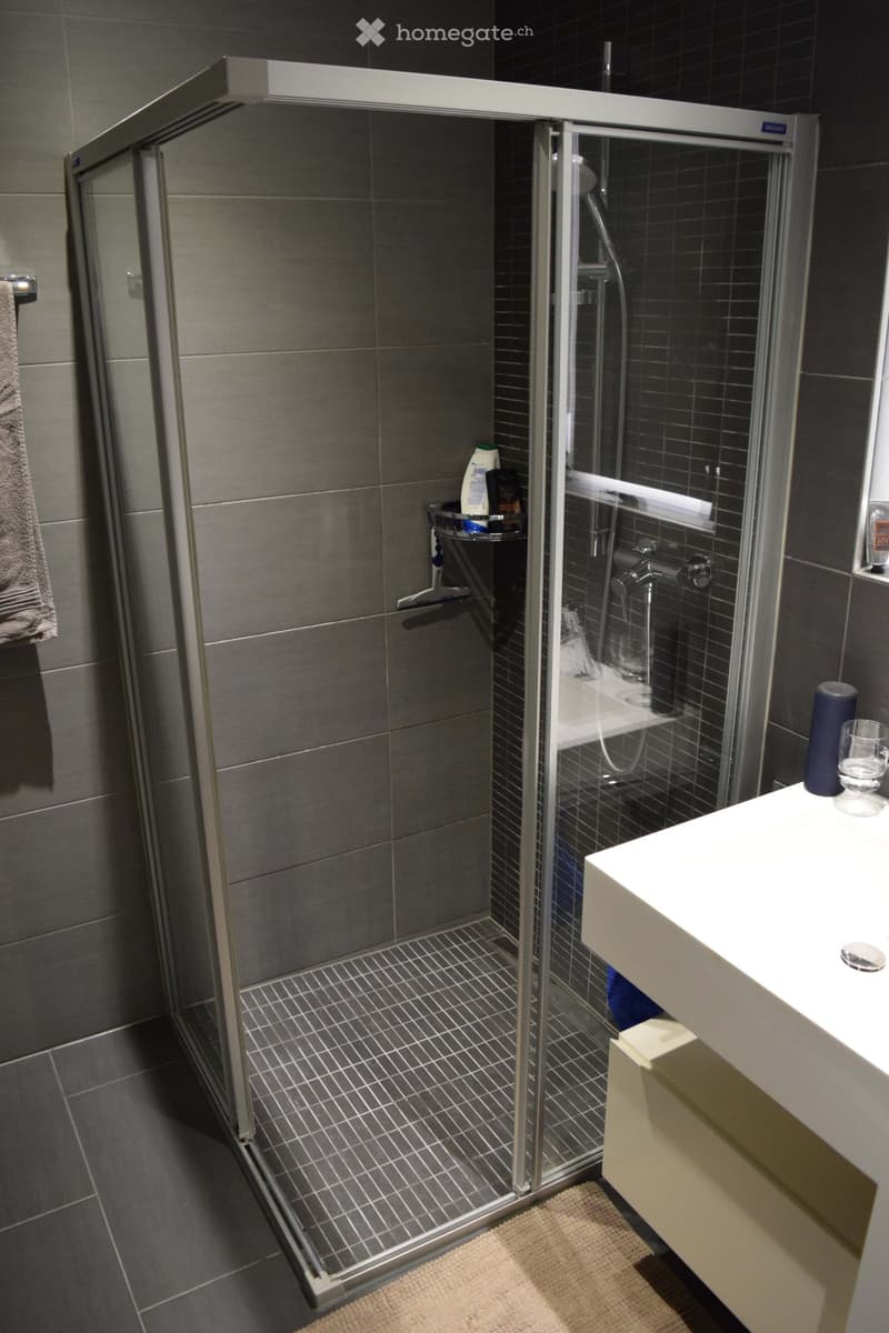 Spacieux 3.5 pièces moderne de 111 m² avec grand séjour (3)