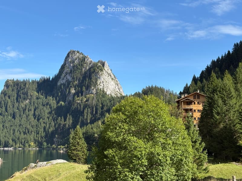 Appartement de vacances à louer au Lac de Taney (8)