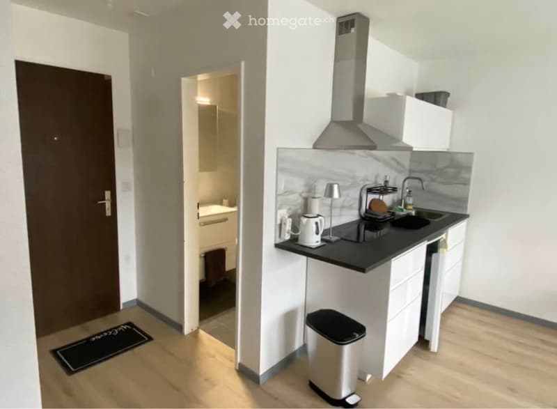 Studio meublé non fumeur (2)