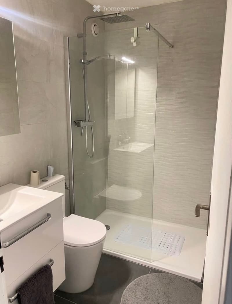 Studio meublé non fumeur (3)