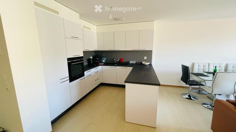 Appartement meublé avec grande terrasse vue lac (3)