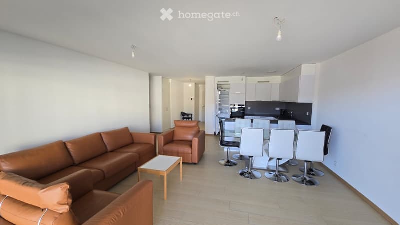 Appartement meublé avec grande terrasse vue lac (4)