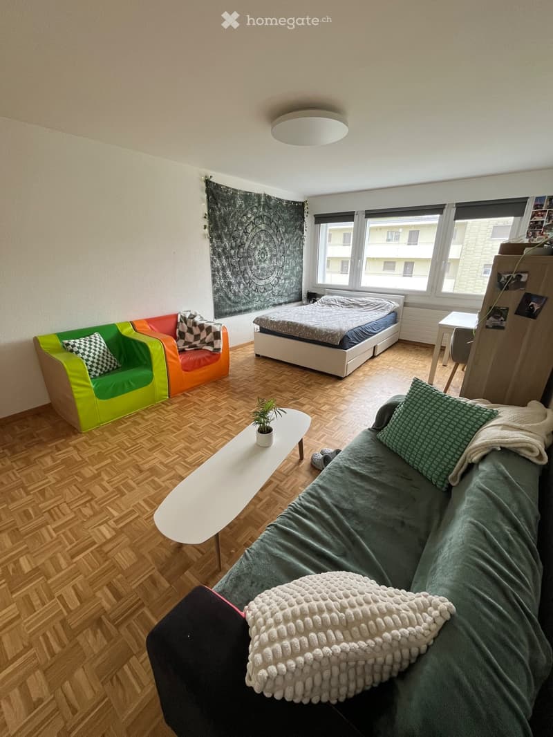 Large studio 37m2 à Colombier - mi juin 2026 (4)