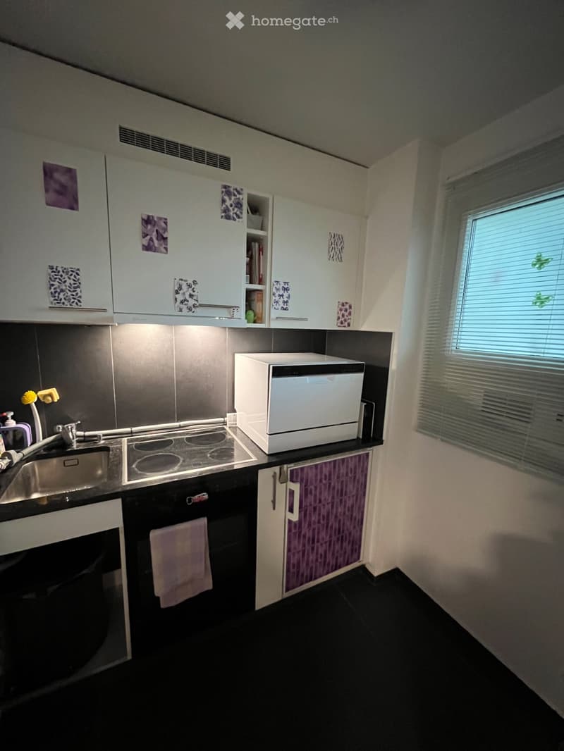 Large studio 37m2 à Colombier - mi juin 2026 (5)