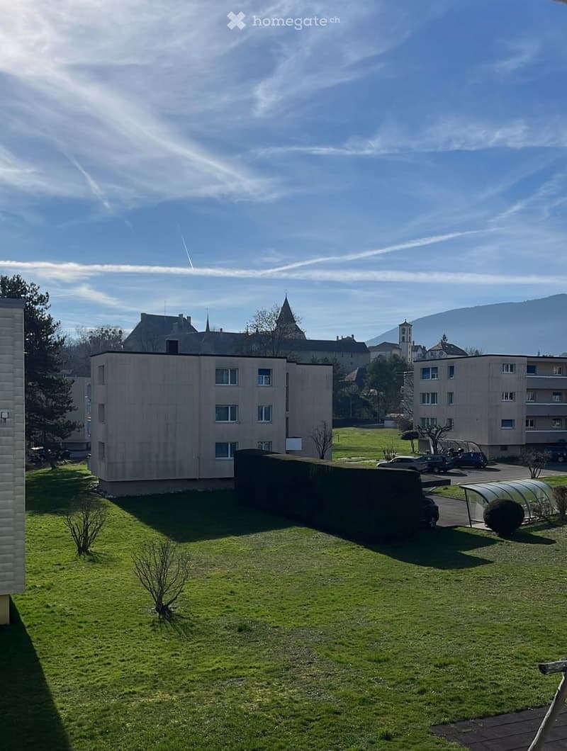 Large studio 37m2 à Colombier - mi juin 2026 (2)