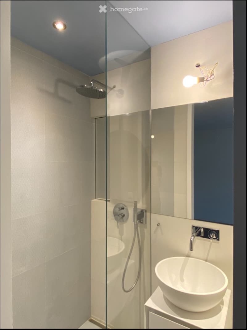 Magnifique appartement contemporain de 2,5 pièces à louer (3)