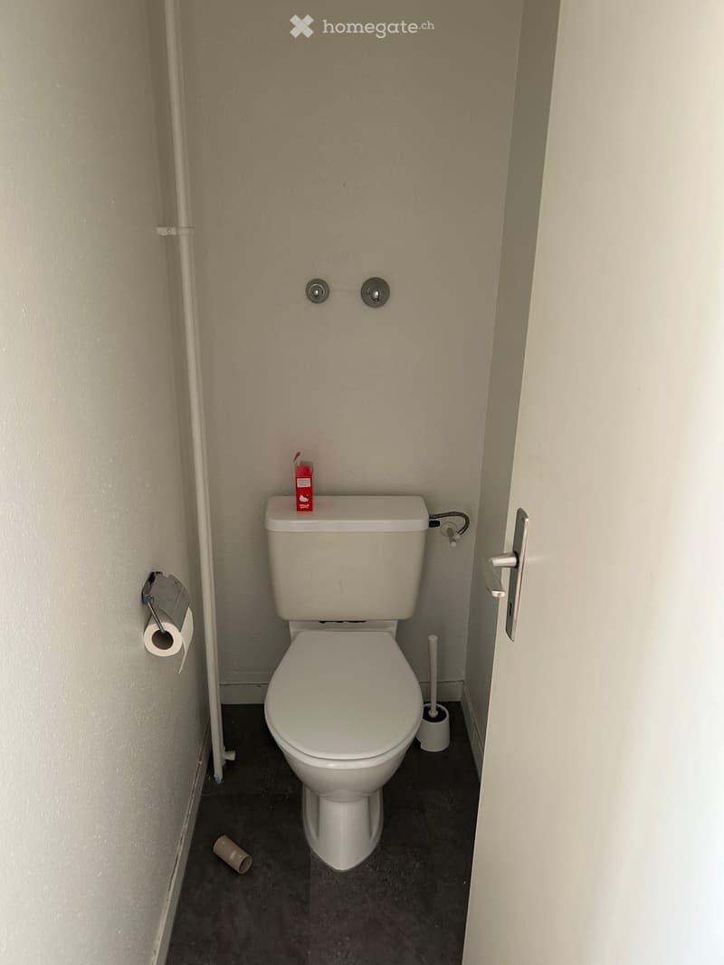 Colocation pour juillet/août Lausanne (4)