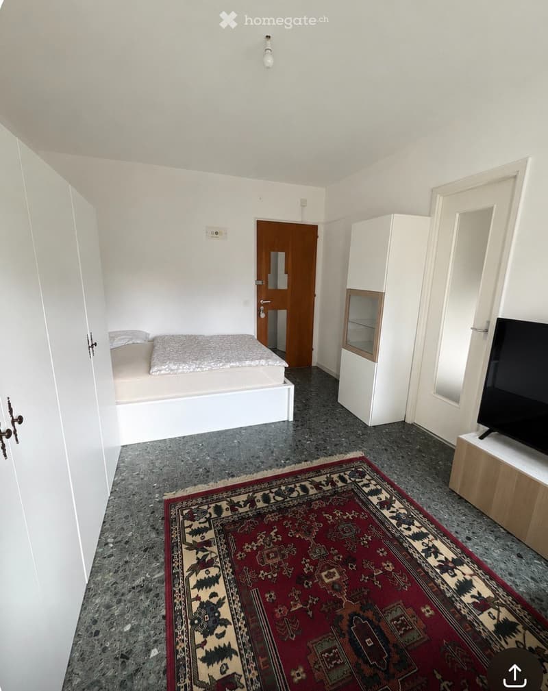 Appartement prêt à vivre, calme et emplacement ideal (3)