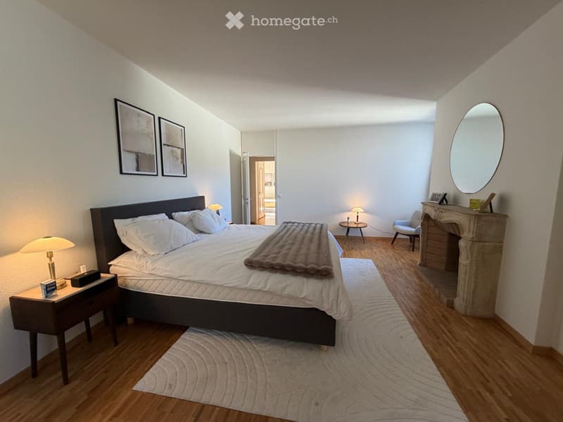 Appartement  standing au cour de la Vieille Ville de Genève (4)