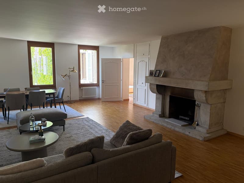 Appartement  standing au cour de la Vieille Ville de Genève (2)