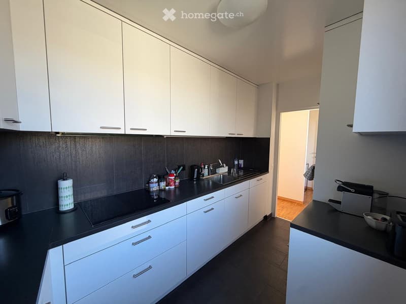 Appartement  standing au cour de la Vieille Ville de Genève (3)