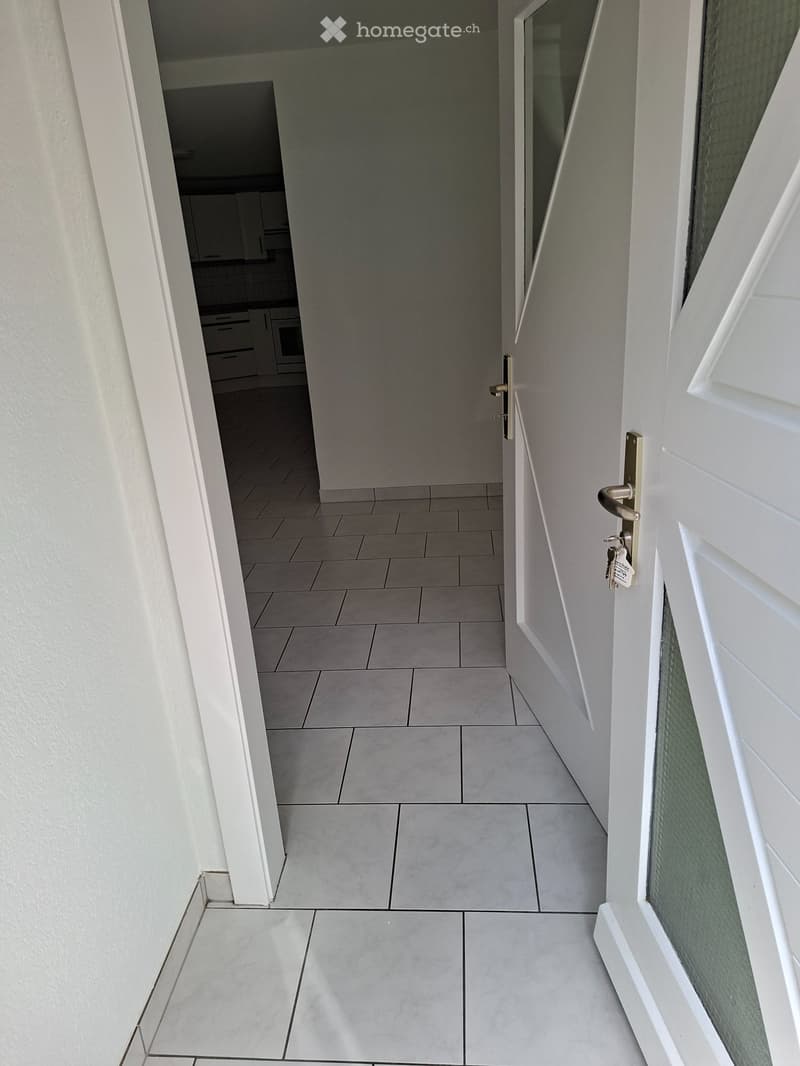 Magnifique appartement tout rénové au centre-ville (4)