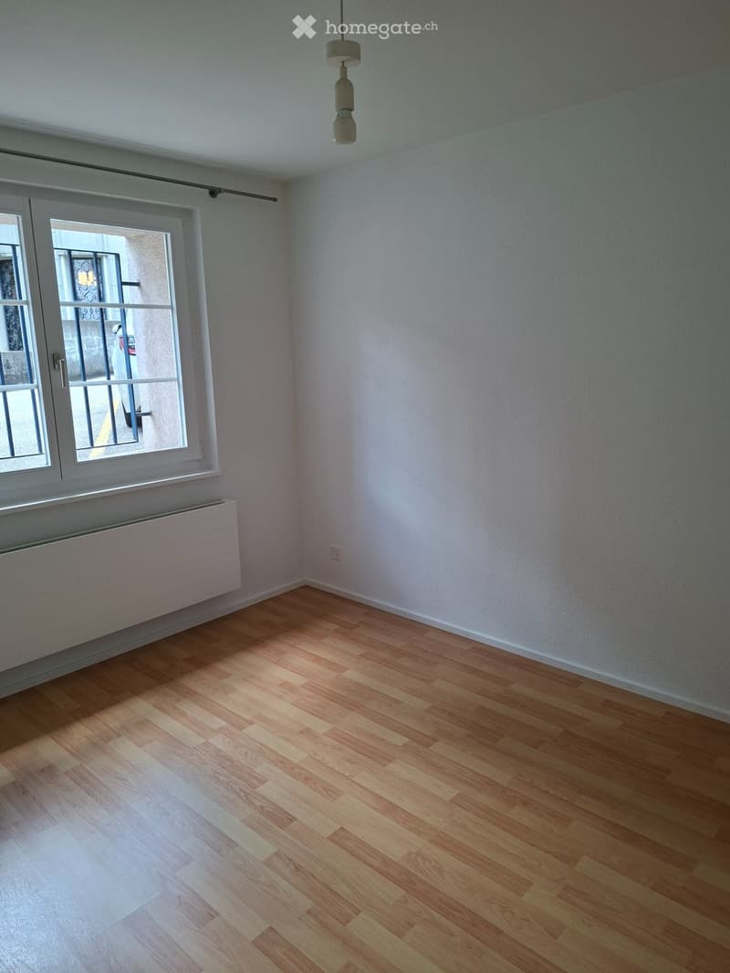 Magnifique appartement tout rénové au centre-ville (2)