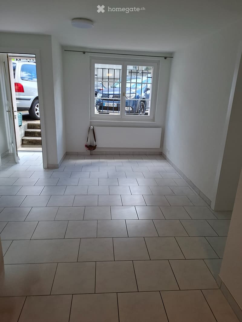 Magnifique appartement tout rénové au centre-ville (3)