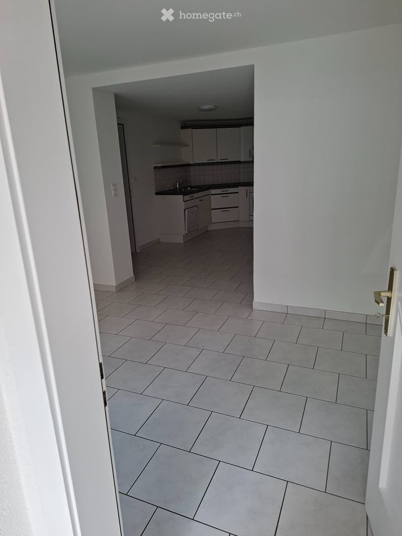 Magnifique appartement tout rénové au centre-ville (5)